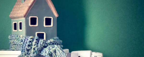 quels-combustibles-privilegier-quand-on-veut-stabiliser-ses-couts-de-chauffage-sur-5-ans